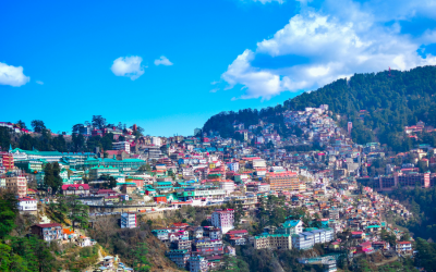 Shimla